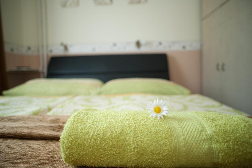 Oleander Apartman Hévíz 外观 照片
